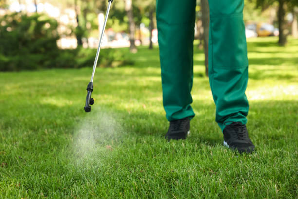 Professional Pest Control in Galesville, MD