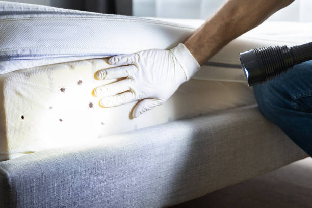 Best Commercial Pest Control Services  in Galesville, MD